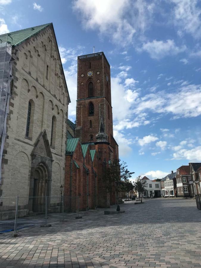 Apartament Ribe Sonderport Bed & Kitchen Zewnętrze zdjęcie